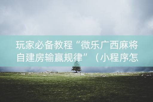 玩家必备教程“微乐广西麻将自建房输赢规律”（小程序怎么才会赢)