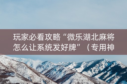 玩家必看攻略“微乐湖北麻将怎么让系统发好牌”（专用神器)