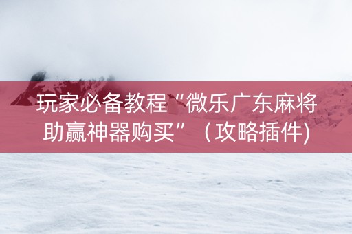 玩家必备教程“微乐广东麻将助赢神器购买”（攻略插件)