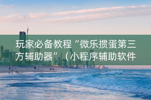 玩家必备教程“微乐掼蛋第三方辅助器”（小程序辅助软件)