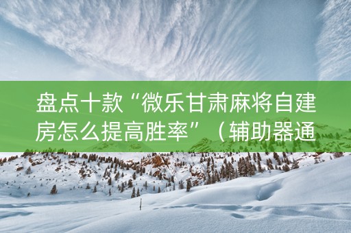 盘点十款“微乐甘肃麻将自建房怎么提高胜率”（辅助器通用版)