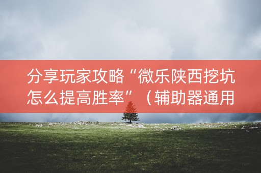 分享玩家攻略“微乐陕西挖坑怎么提高胜率”（辅助器通用版)