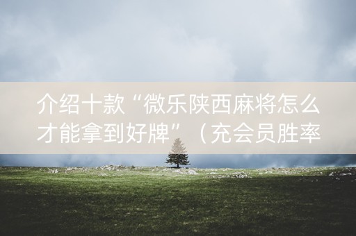 介绍十款“微乐陕西麻将怎么才能拿到好牌”（充会员胜率高)