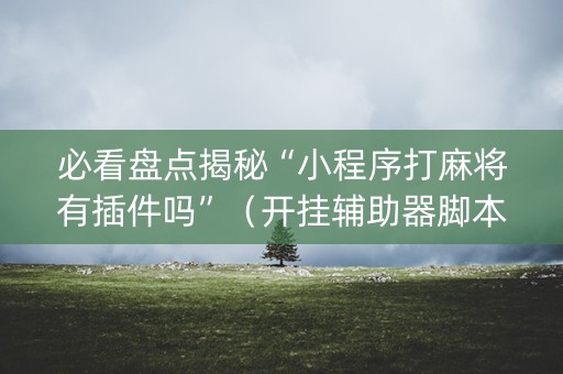 必看盘点揭秘“小程序打麻将有插件吗”（开挂辅助器脚本)