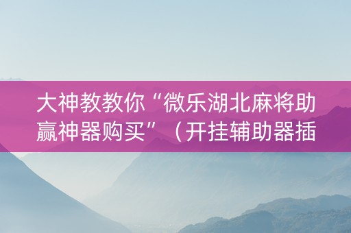 大神教教你“微乐湖北麻将助赢神器购买”（开挂辅助器插件)
