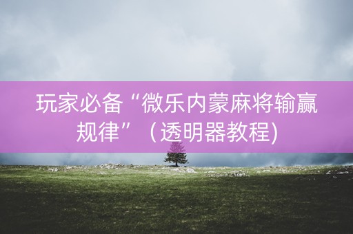 玩家必备“微乐内蒙麻将输赢规律”（透明器教程)