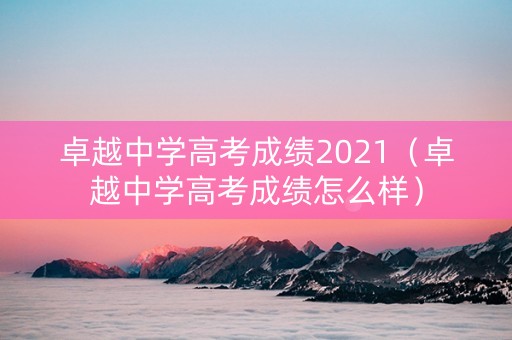 卓越中学高考成绩2021（卓越中学高考成绩怎么样）