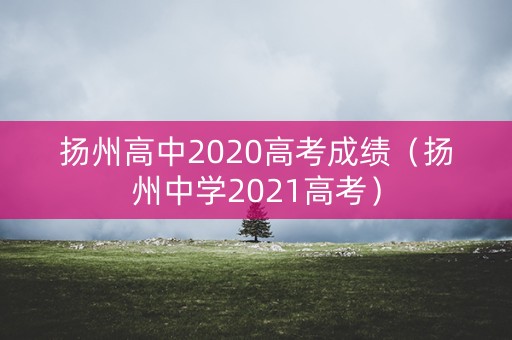 扬州高中2020高考成绩（扬州中学2021高考）
