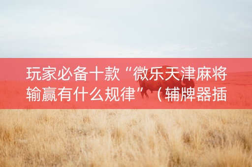 玩家必备十款“微乐天津麻将输赢有什么规律”（辅牌器插件购买)
