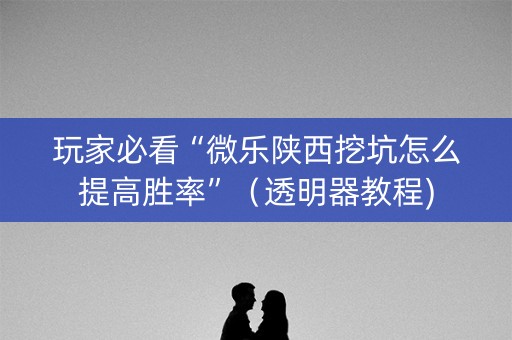 玩家必看“微乐陕西挖坑怎么提高胜率”（透明器教程)