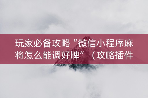 玩家必备攻略“微信小程序麻将怎么能调好牌”（攻略插件)