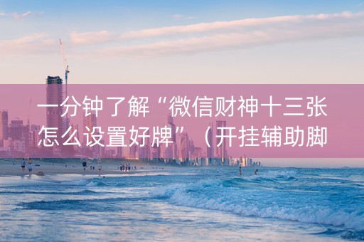 一分钟了解“微信财神十三张怎么设置好牌”（开挂辅助脚本)