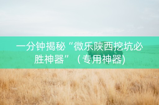 一分钟揭秘“微乐陕西挖坑必胜神器”（专用神器)