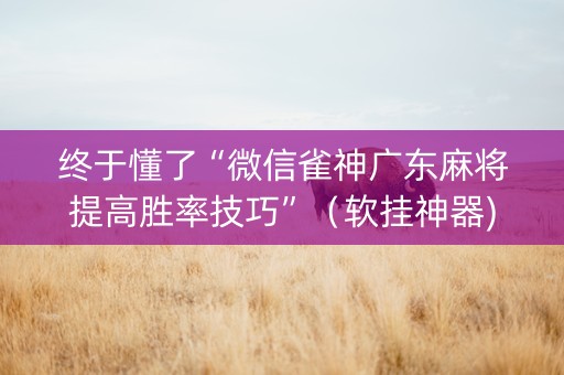终于懂了“微信雀神广东麻将提高胜率技巧”（软挂神器)