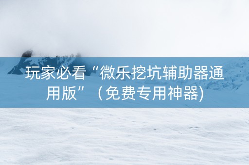 玩家必看“微乐挖坑辅助器通用版”（免费专用神器)