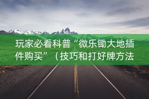 玩家必看科普“微乐锄大地插件购买”（技巧和打好牌方法)