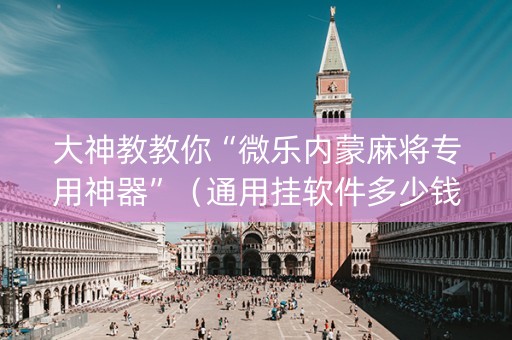 大神教教你“微乐内蒙麻将专用神器”（通用挂软件多少钱)