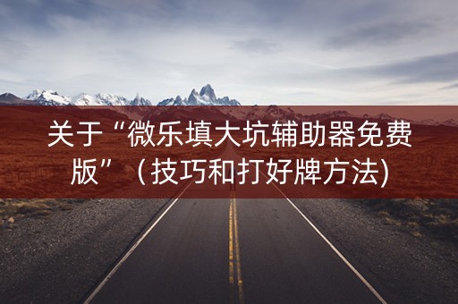 关于“微乐填大坑辅助器免费版”（技巧和打好牌方法)