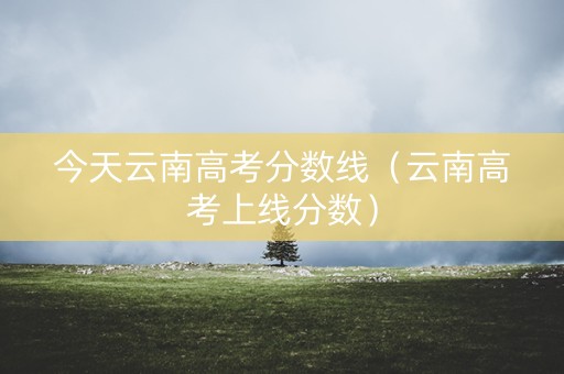今天云南高考分数线（云南高考上线分数）