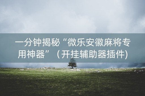 一分钟揭秘“微乐安徽麻将专用神器”（开挂辅助器插件)