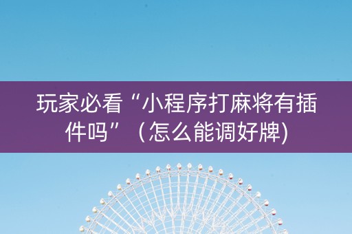 玩家必看“小程序打麻将有插件吗”（怎么能调好牌)