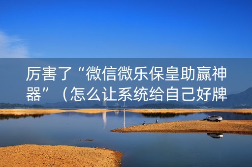 厉害了“微信微乐保皇助赢神器”（怎么让系统给自己好牌)