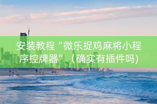 安装教程“微乐捉鸡麻将小程序控牌器”（确实有插件吗)