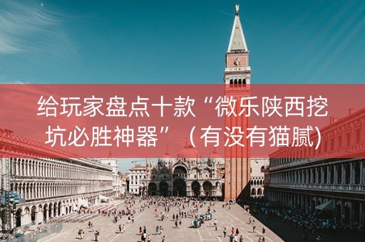 给玩家盘点十款“微乐陕西挖坑必胜神器”（有没有猫腻)