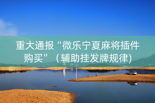 重大通报“微乐宁夏麻将插件购买”（辅助挂发牌规律)