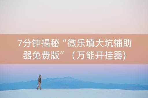 7分钟揭秘“微乐填大坑辅助器免费版”（万能开挂器)
