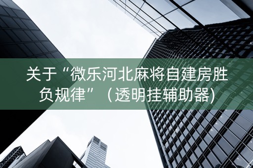 关于“微乐河北麻将自建房胜负规律”（透明挂辅助器)