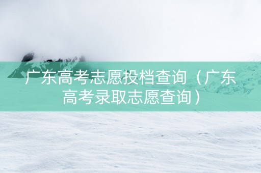 广东高考志愿投档查询（广东高考录取志愿查询）