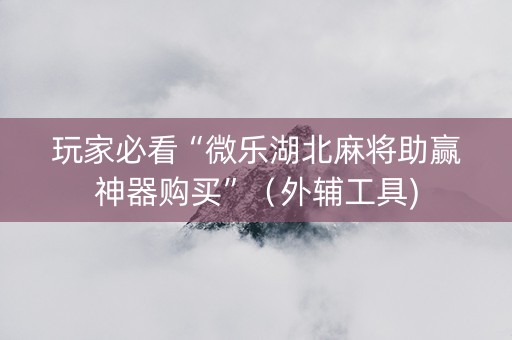 玩家必看“微乐湖北麻将助赢神器购买”（外辅工具)
