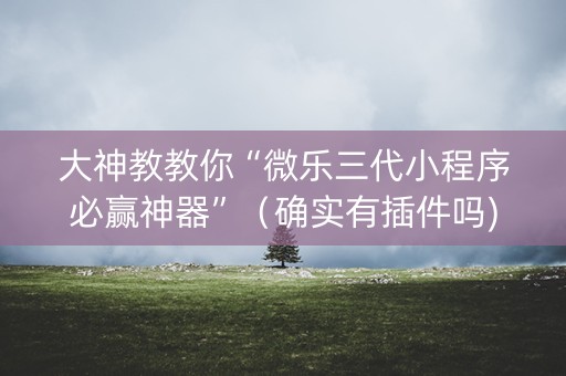 大神教教你“微乐三代小程序必赢神器”（确实有插件吗)