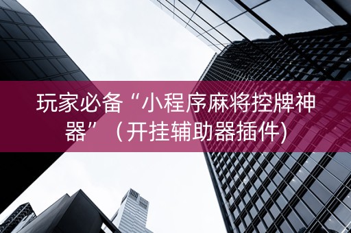 玩家必备“小程序麻将控牌神器”（开挂辅助器插件)