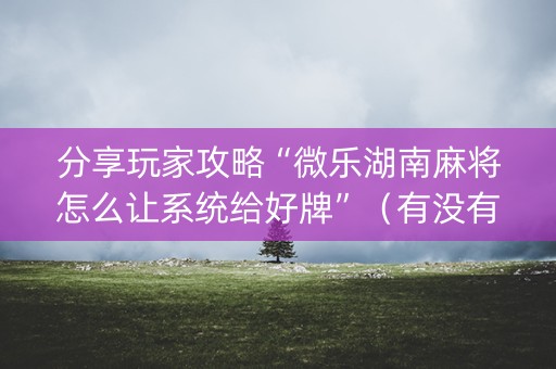 分享玩家攻略“微乐湖南麻将怎么让系统给好牌”（有没有猫腻)
