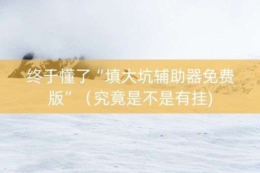 终于懂了“填大坑辅助器免费版”（究竟是不是有挂)
