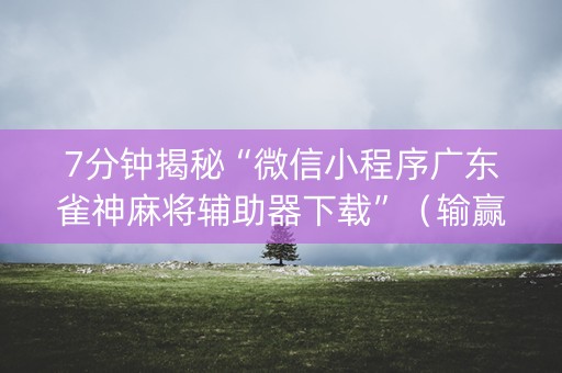 7分钟揭秘“微信小程序广东雀神麻将辅助器下载”（输赢跟id号有关系吗)
