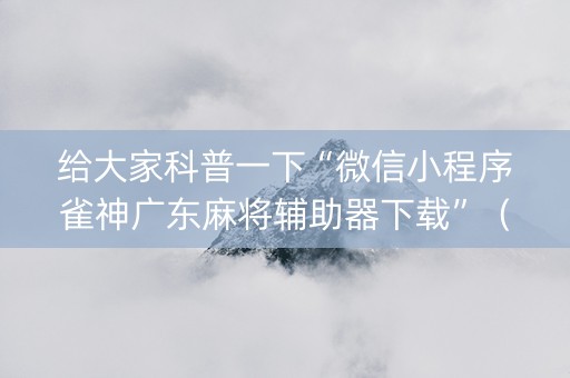 给大家科普一下“微信小程序雀神广东麻将辅助器下载”（如何让系统发好牌)