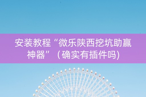 安装教程“微乐陕西挖坑助赢神器”（确实有插件吗)