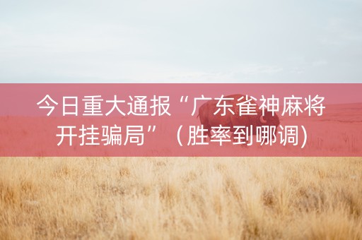 今日重大通报“广东雀神麻将开挂骗局”（胜率到哪调)
