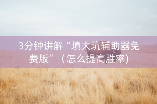 3分钟讲解“填大坑辅助器免费版”（怎么提高胜率)