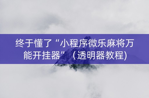 终于懂了“小程序微乐麻将万能开挂器”（透明器教程)