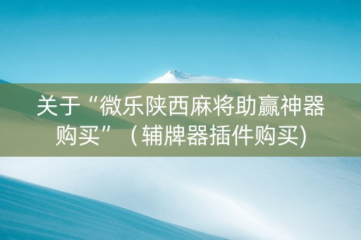 关于“微乐陕西麻将助赢神器购买”（辅牌器插件购买)