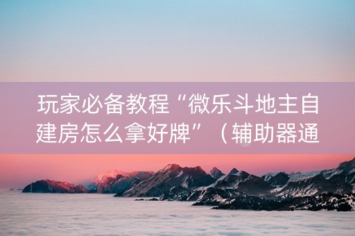 玩家必备教程“微乐斗地主自建房怎么拿好牌”（辅助器通用版)