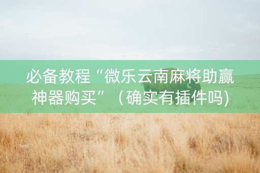 必备教程“微乐云南麻将助赢神器购买”（确实有插件吗)