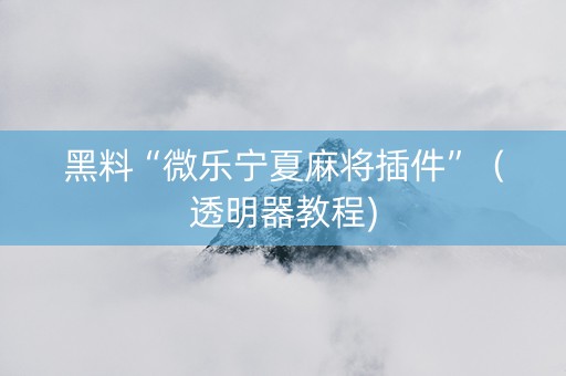 黑料“微乐宁夏麻将插件”（透明器教程)