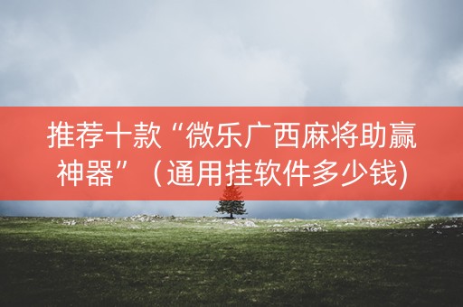 推荐十款“微乐广西麻将助赢神器”（通用挂软件多少钱)