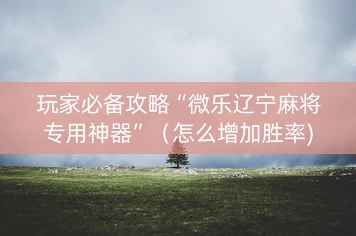 玩家必备攻略“微乐辽宁麻将专用神器”（怎么增加胜率)