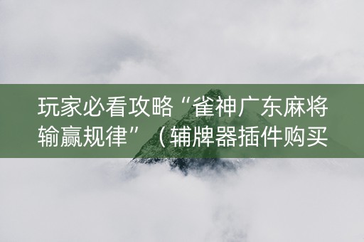 玩家必看攻略“雀神广东麻将输赢规律”（辅牌器插件购买)